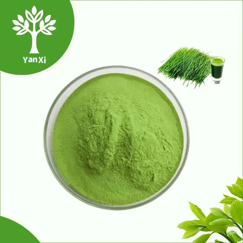 Barley Grass Juice Powder Bulk Barley Grass Juice Powder Bulk
